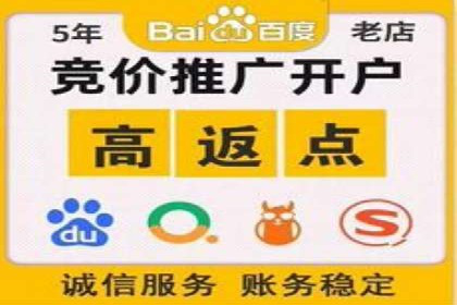 SEM推广案例：从无到有的转变